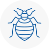 Bed Bug Extermination In Tameside